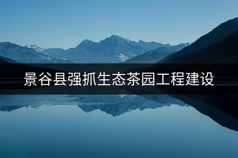 景谷縣強抓生態(tài)茶園工程建設(shè) 景谷縣強抓生態(tài)茶園工程建設(shè)