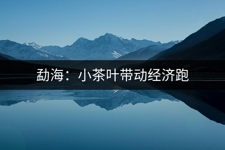 勐海:小茶葉帶動經(jīng)濟跑 勐海:小茶葉帶動經(jīng)濟跑
