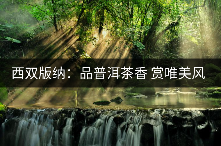 西雙版納:品普洱茶香 賞唯美風(fēng)景 西雙版納:品普洱茶香 賞唯美風(fēng)景