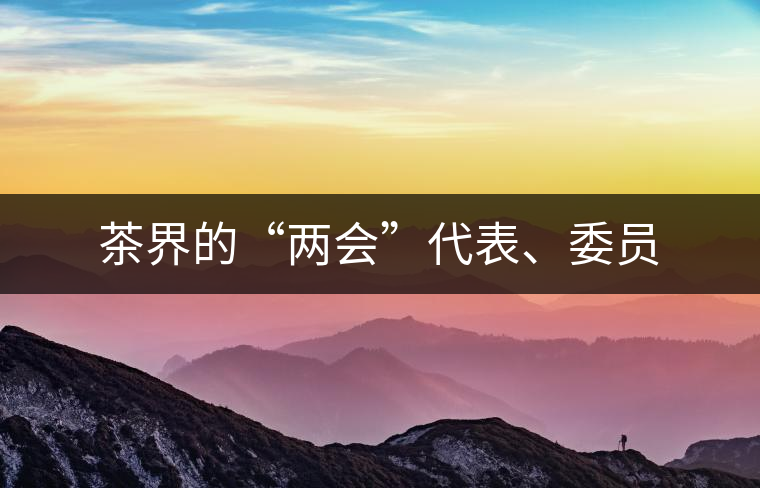 茶界的“兩會”代表、委員