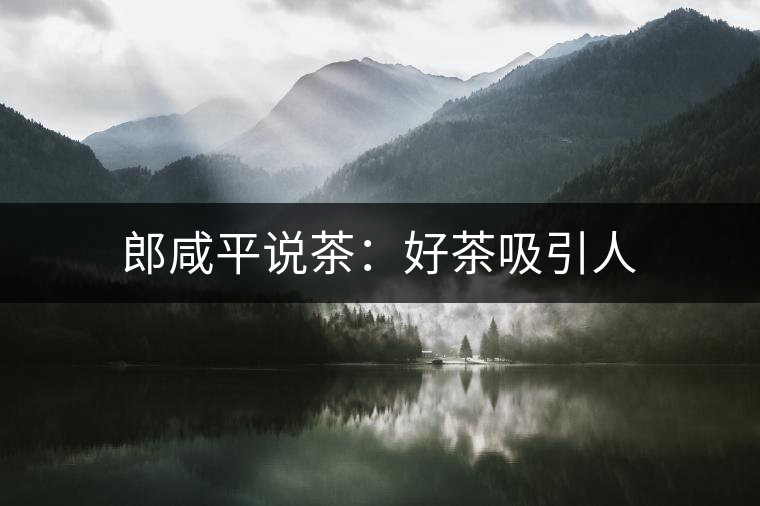 郎咸平說茶:好茶吸引人 郎咸平說茶:好茶吸引人