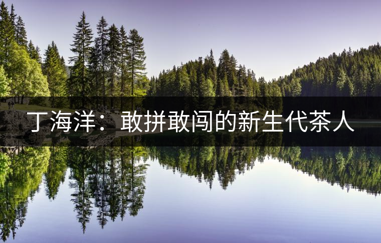 丁海洋:敢拼敢闖的新生代茶人 丁海洋:敢拼敢闖的新生代茶人