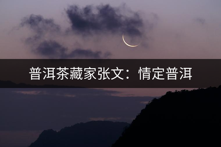 普洱茶藏家張文：情定普洱