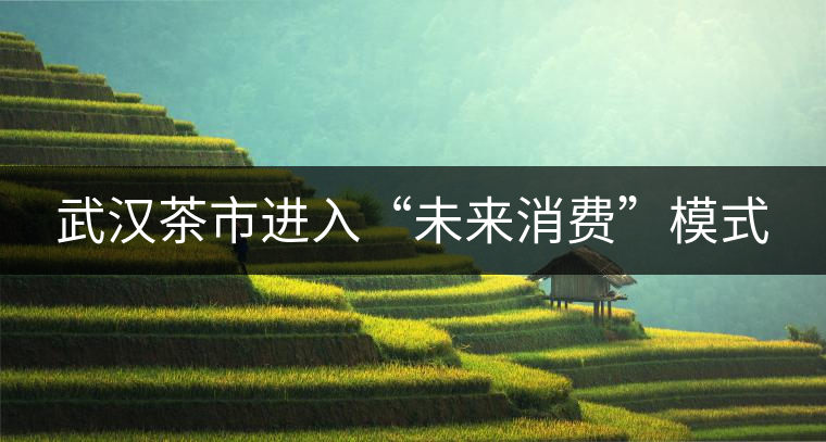 武漢茶市進(jìn)入“未來消費”模式