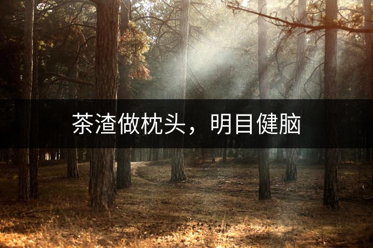 茶渣做枕頭，明目健腦