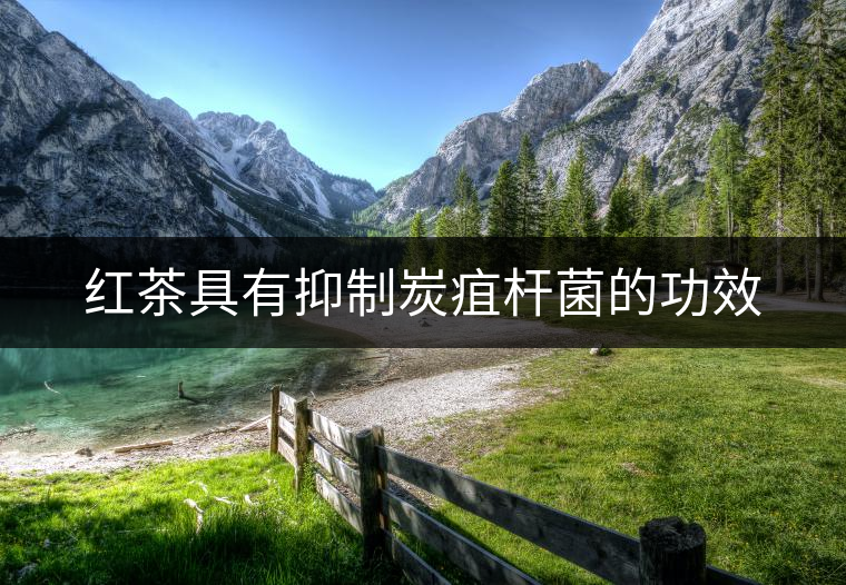 紅茶具有抑制炭疽桿菌的功效 紅茶具有抑制炭疽桿菌的功效