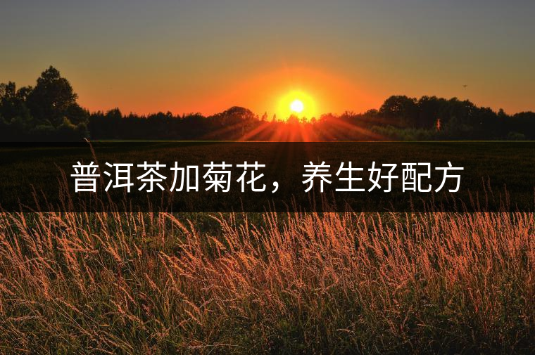 普洱茶加菊花，養(yǎng)生好配方