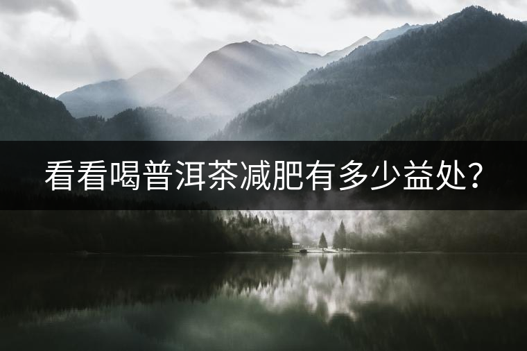 看看喝普洱茶減肥有多少益處？