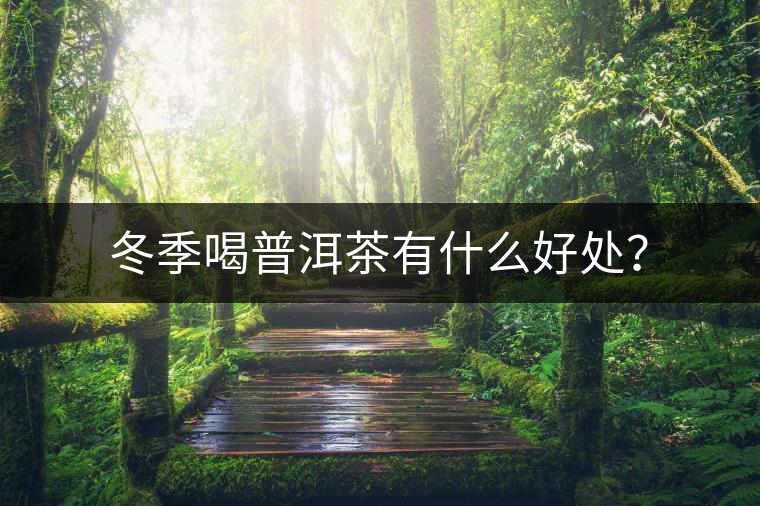 冬季喝普洱茶有什么好處？