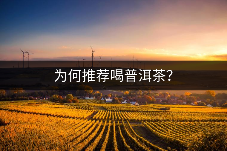 為何推薦喝普洱茶？