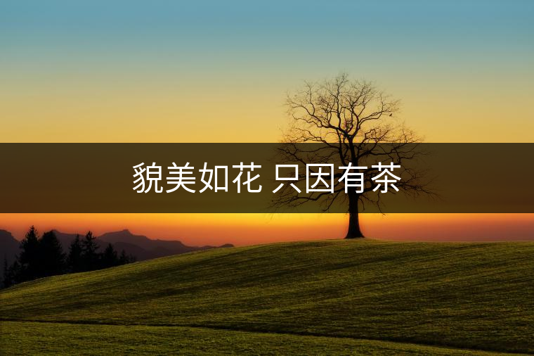 貌美如花 只因有茶 貌美如花 只因有茶
