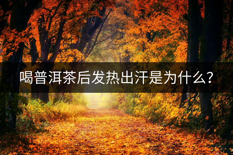 喝普洱茶后發(fā)熱出汗是為什么？