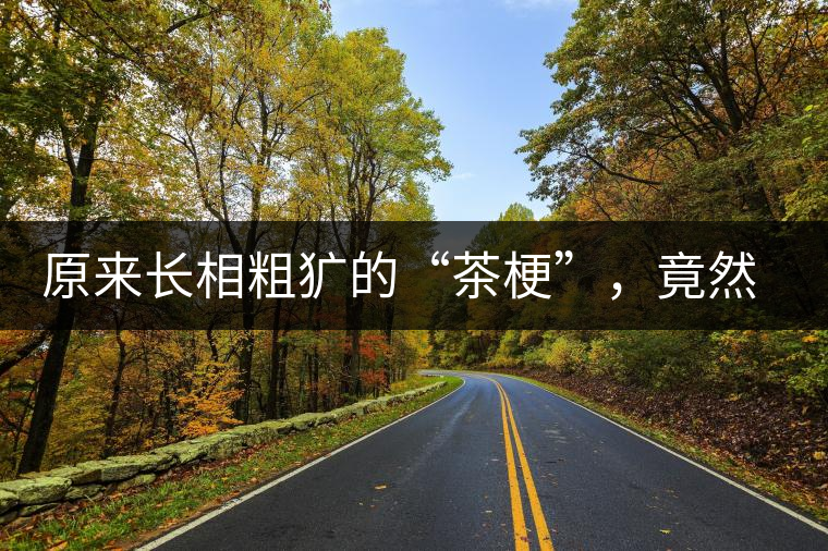 原來長相粗獷的“茶?！?，竟然還有這么多的作用