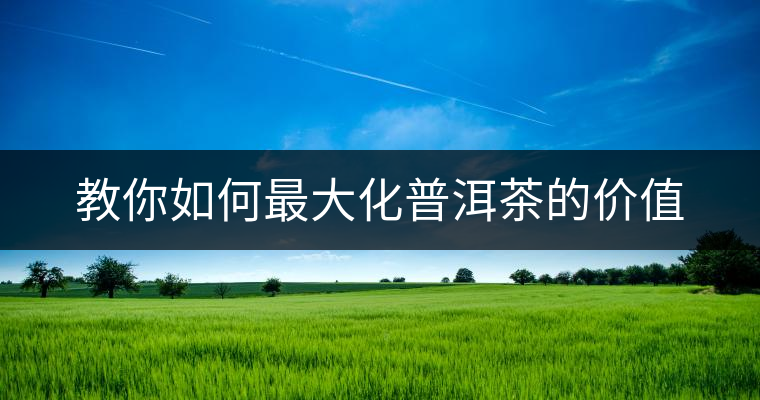 教你如何最大化普洱茶的價(jià)值 教你如何最大化普洱茶的價(jià)值