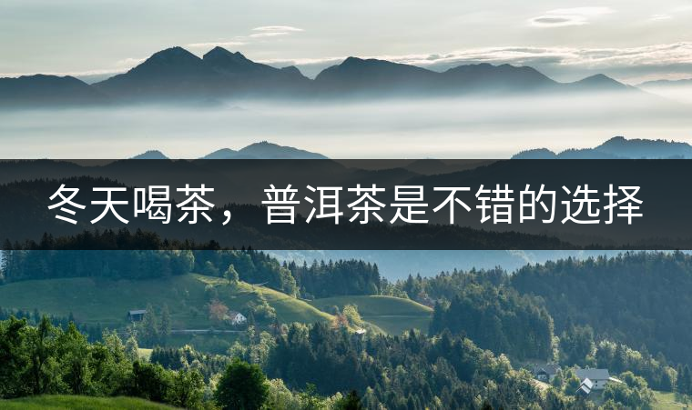 冬天喝茶，普洱茶是不錯(cuò)的選擇