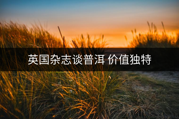 英國(guó)雜志談普洱 價(jià)值獨(dú)特