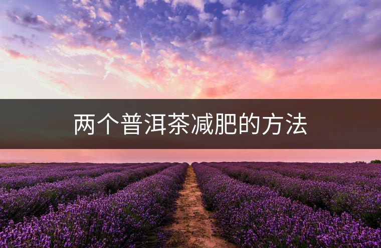兩個(gè)普洱茶減肥的方法 兩個(gè)普洱茶減肥的方法