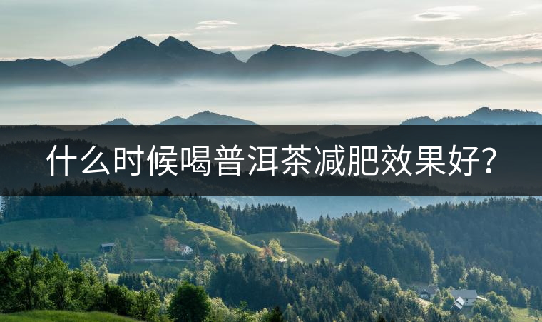 什么時(shí)候喝普洱茶減肥效果好？