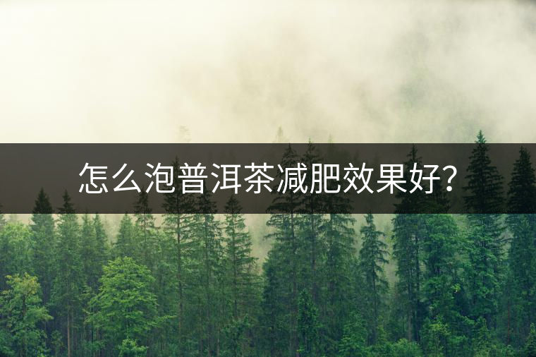 怎么泡普洱茶減肥效果好？