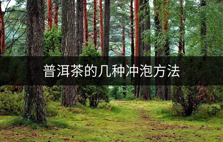 普洱茶的幾種沖泡方法 普洱茶的幾種沖泡方法