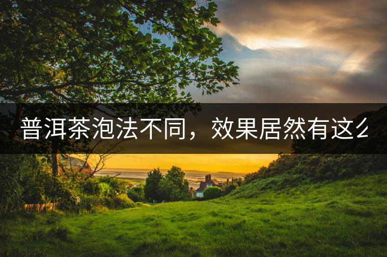 普洱茶泡法不同，效果居然有這么大區(qū)別！