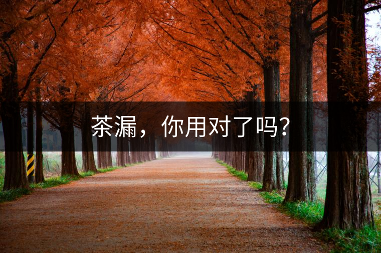 茶漏，你用對(duì)了嗎？