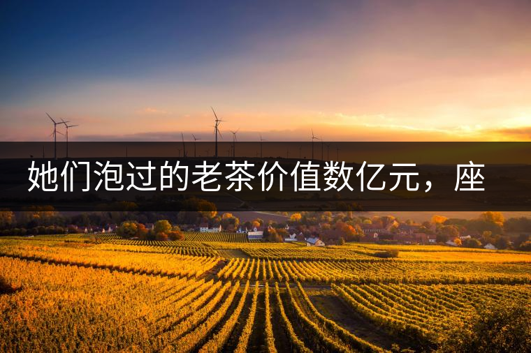 她們泡過(guò)的老茶價(jià)值數(shù)億元，座上賓是余秋雨、李云迪……