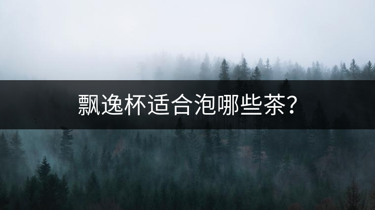 飄逸杯適合泡哪些茶？