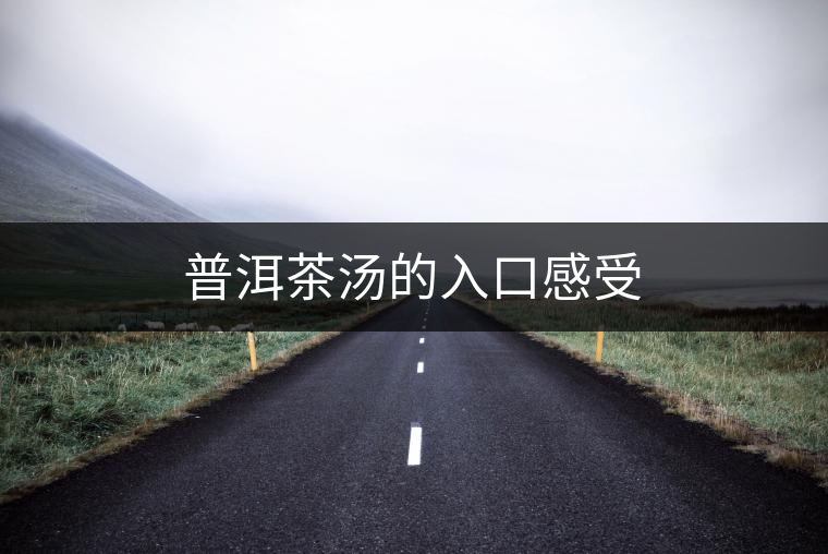 普洱茶湯的入口感受 普洱茶湯的入口感受