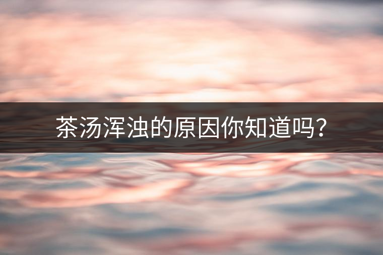 茶湯渾濁的原因你知道嗎？