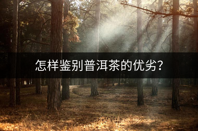 怎樣鑒別普洱茶的優(yōu)劣？