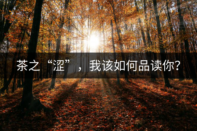 茶之“澀”，我該如何品讀你？
