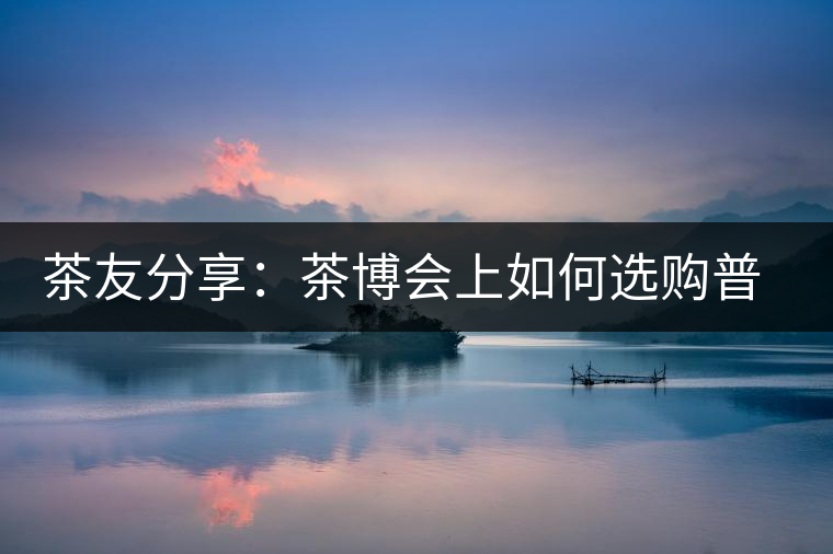 茶友分享：茶博會上如何選購普洱茶？