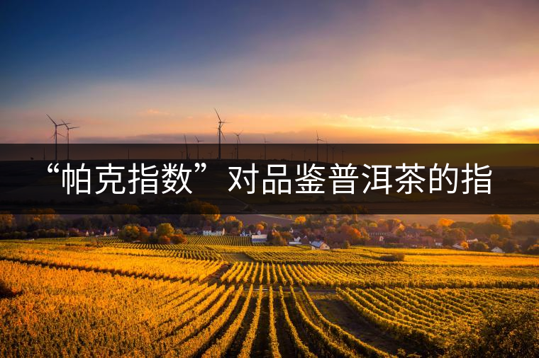 “帕克指數(shù)”對品鑒普洱茶的指導(dǎo)意義在哪里？「跨界有道」