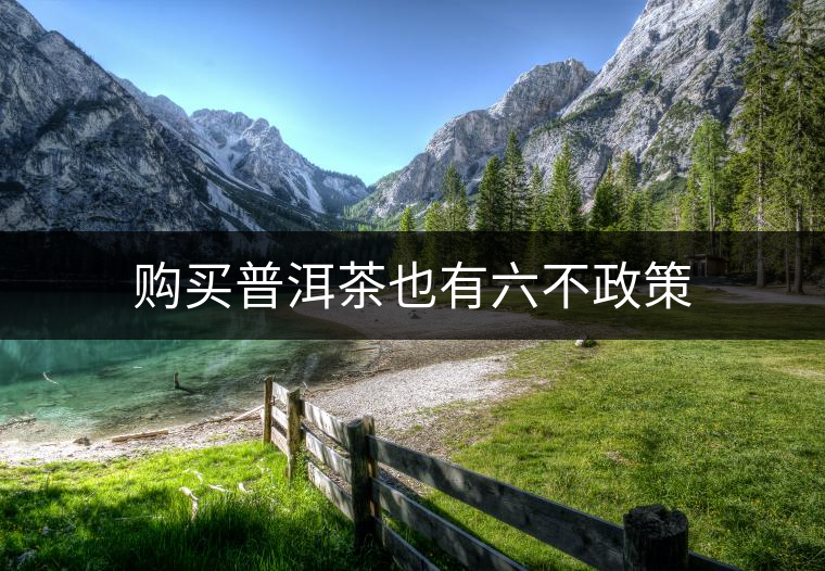 購買普洱茶也有六不政策 購買普洱茶也有六不政策