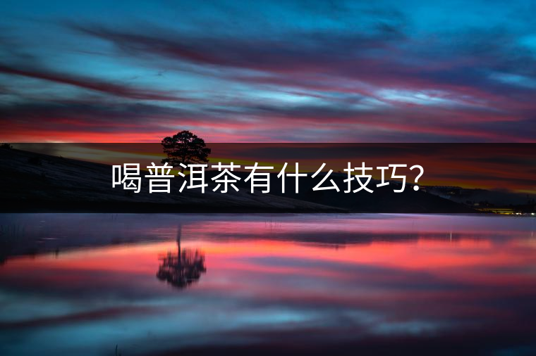 喝普洱茶有什么技巧？