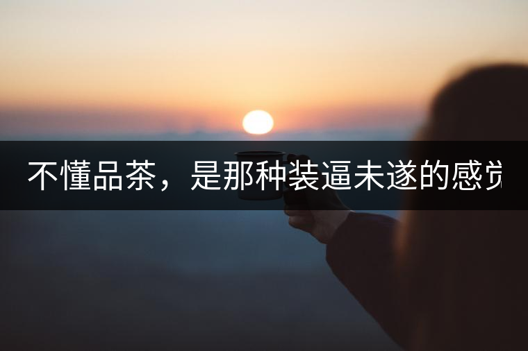 不懂品茶，是那種裝逼未遂的感覺？