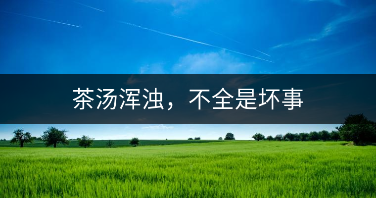 茶湯渾濁,不全是壞事 茶湯渾濁,不全是壞事