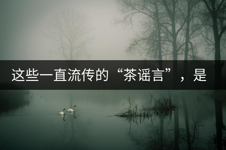 這些一直流傳的“茶謠言”，是時候知道真相了