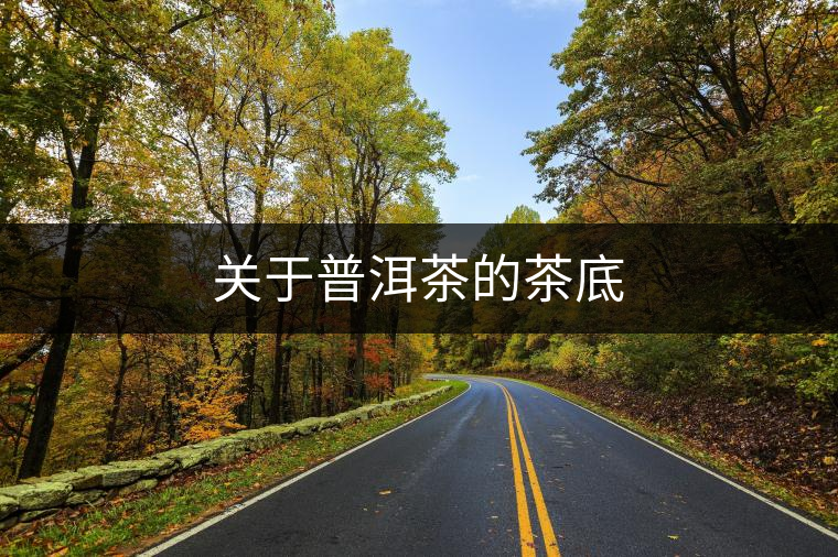 關于普洱茶的茶底 關于普洱茶的茶底
