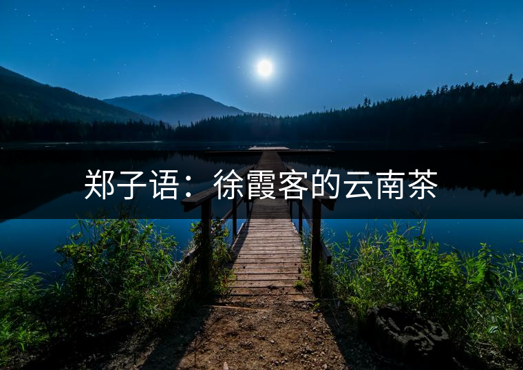 鄭子語(yǔ)：徐霞客的云南茶