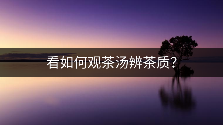 看如何觀茶湯辨茶質(zhì)？