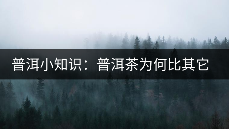 普洱小知識：普洱茶為何比其它茶葉耐泡？