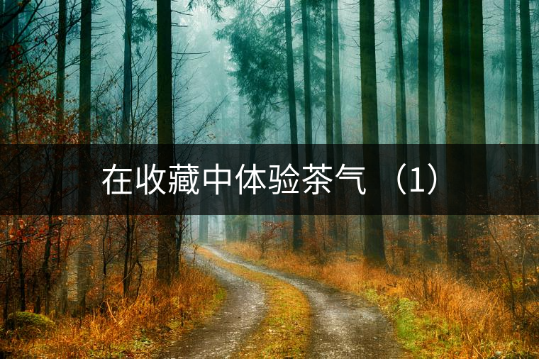 在收藏中體驗(yàn)茶氣 (1) 在收藏中體驗(yàn)茶氣 (1)