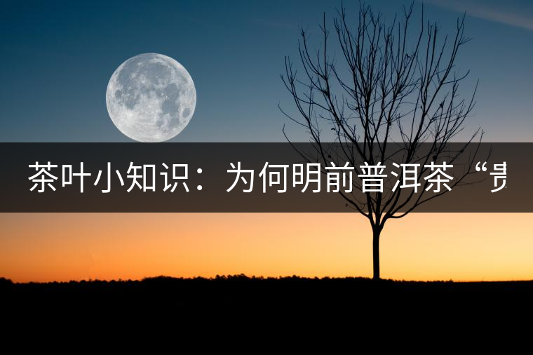 茶葉小知識:為何明前普洱茶“貴如金” 茶葉小知識:為何明前普洱茶“貴如金”