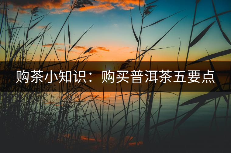 購(gòu)茶小知識(shí):購(gòu)買(mǎi)普洱茶五要點(diǎn) 購(gòu)茶小知識(shí):購(gòu)買(mǎi)普洱茶五要點(diǎn)