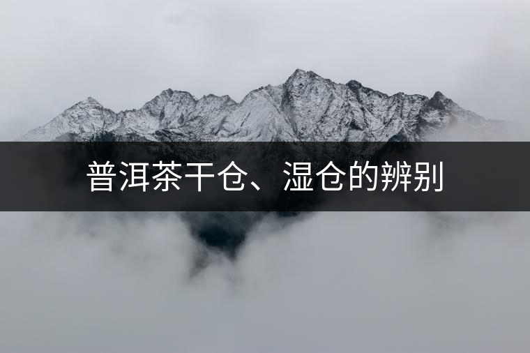 普洱茶干倉、濕倉的辨別