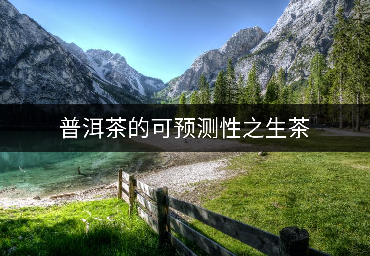 普洱茶的可預(yù)測(cè)性之生茶 普洱茶的可預(yù)測(cè)性之生茶
