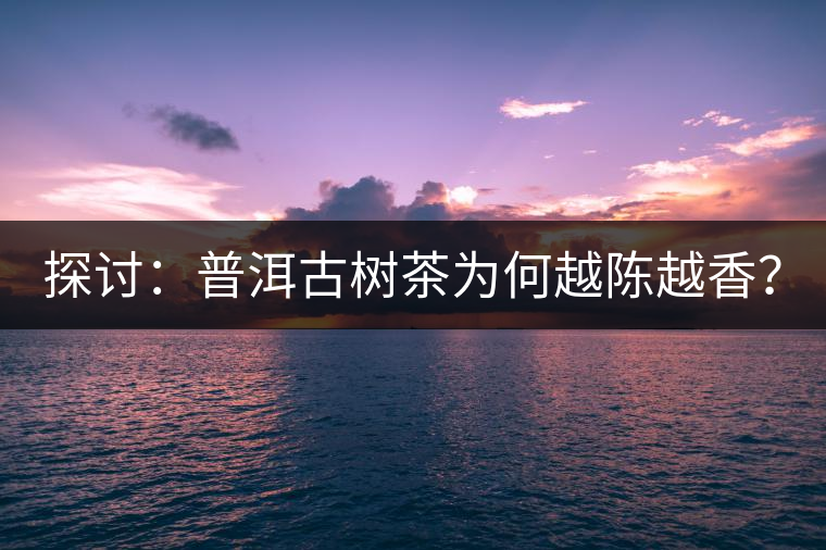 探討：普洱古樹茶為何越陳越香？