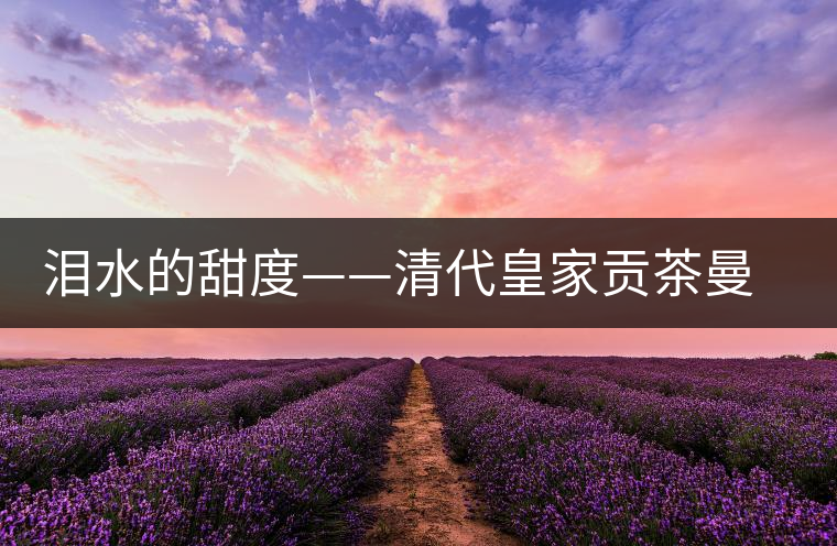 淚水的甜度——清代皇家貢茶曼松茶